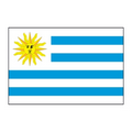 Uruguay Flag Temporary Tattoo (1.5"x2")